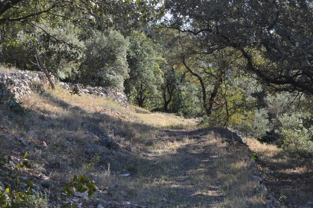 Tivoli En Provence Βίλα Cotignac Εξωτερικό φωτογραφία