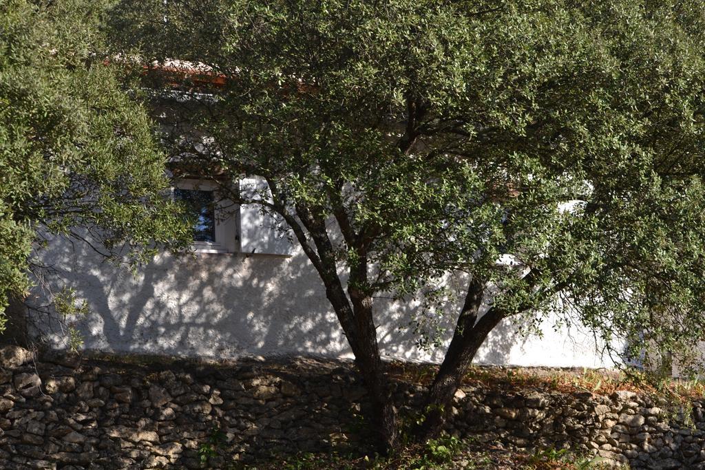 Tivoli En Provence Βίλα Cotignac Εξωτερικό φωτογραφία